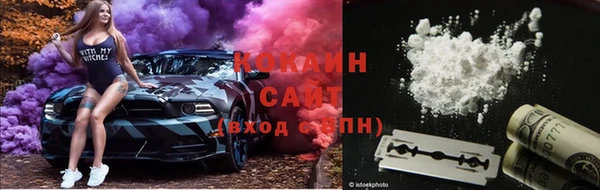 ГАЛЛЮЦИНОГЕННЫЕ ГРИБЫ Каменка