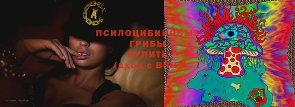 МДПВ Каменногорск