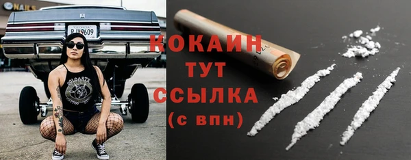 ГАЛЛЮЦИНОГЕННЫЕ ГРИБЫ Каменка
