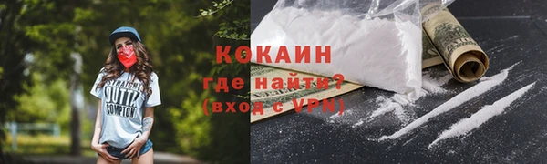 ГАЛЛЮЦИНОГЕННЫЕ ГРИБЫ Каменка