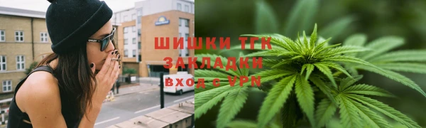 МДПВ Каменногорск
