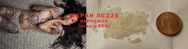 МДПВ Каменногорск