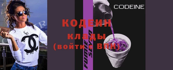 ГАЛЛЮЦИНОГЕННЫЕ ГРИБЫ Каменка