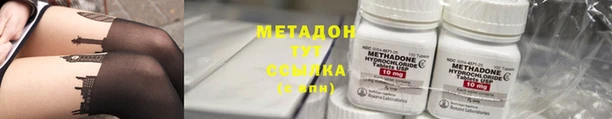 ГАЛЛЮЦИНОГЕННЫЕ ГРИБЫ Каменка