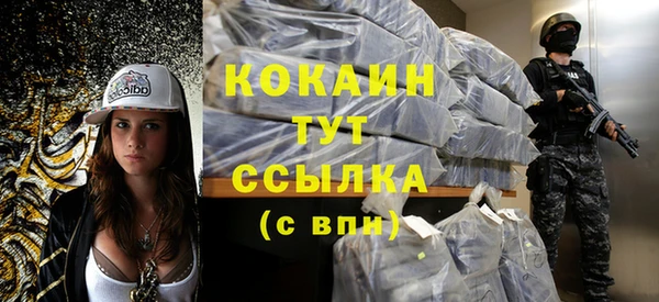 МДПВ Каменногорск