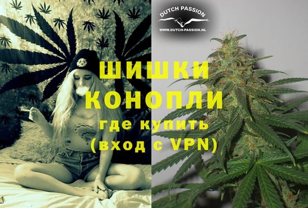 ГАЛЛЮЦИНОГЕННЫЕ ГРИБЫ Каменка