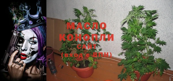 ГАЛЛЮЦИНОГЕННЫЕ ГРИБЫ Каменка