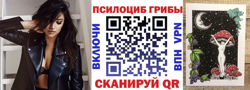 Купить где  Шенкурск  Псилоцибиновые грибы мухоморы 